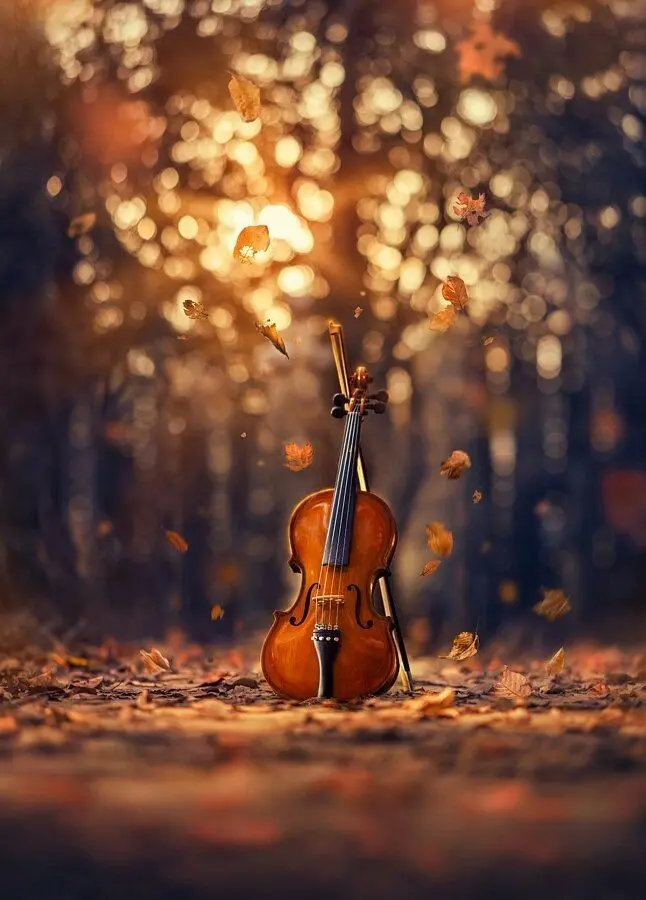 Autumn-Themed Violin Wallpaper - Perfect for Backgrounds