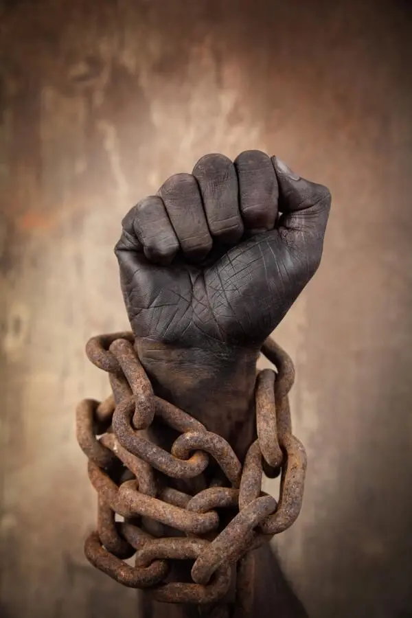 Download High Quality Freedom Wallpaper
