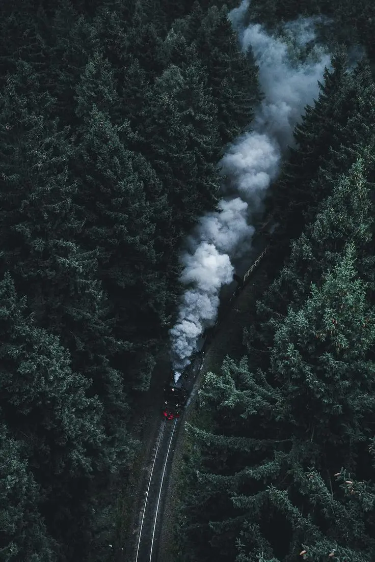 Download Train Background Passing Through Dark Forest