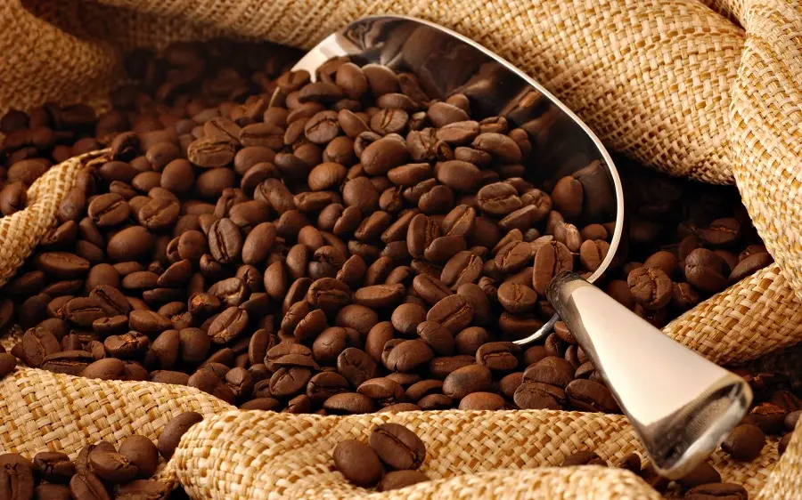 Coffee Profile Picture High Quality
