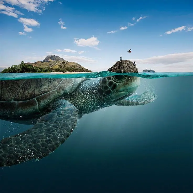 Download Wallpaper of Giant Turtle Island