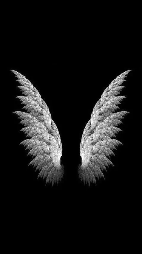 Black and White Angel Wings Background for Profiles