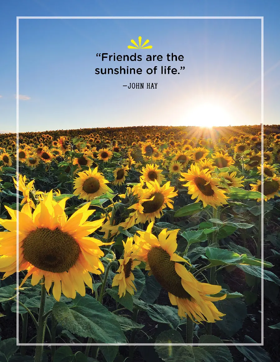 Text Image for Best Friend