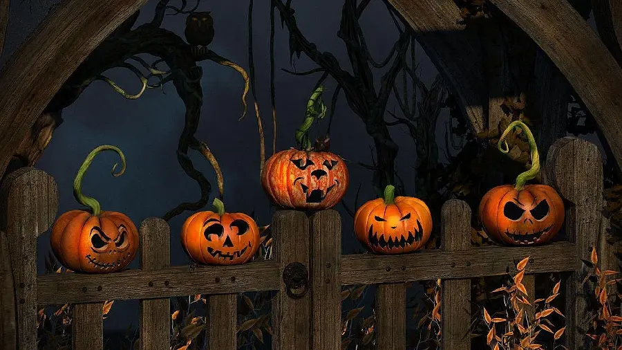 Cartoon Halloween Photo for Stories and Profiles