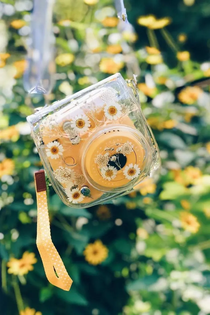 Download Profile Picture of Instant Camera with Glass Case