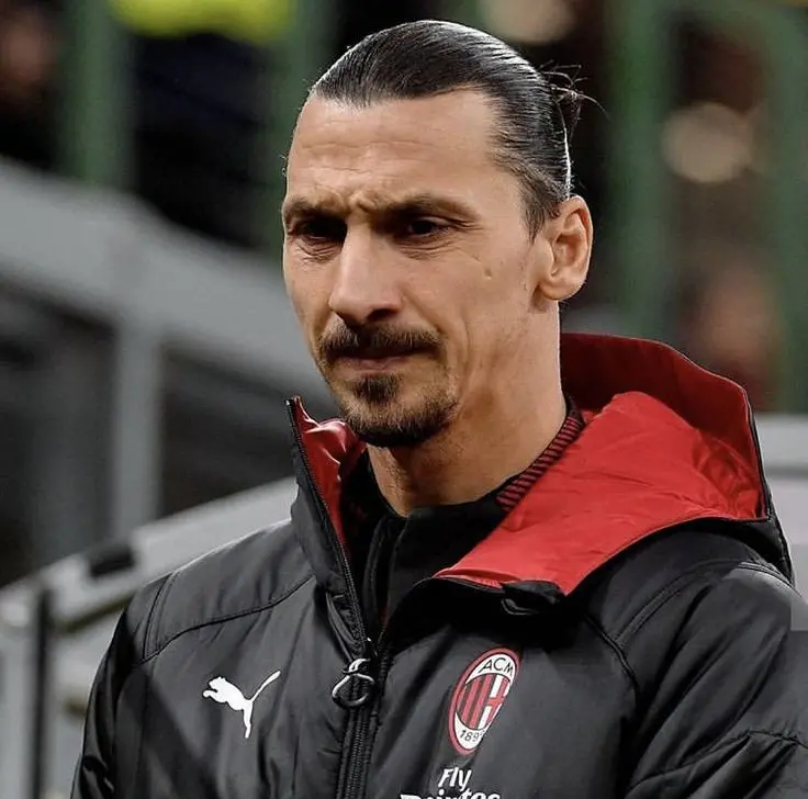 Download Zlatan Ibrahimovic Profile Picture - Martial Arts