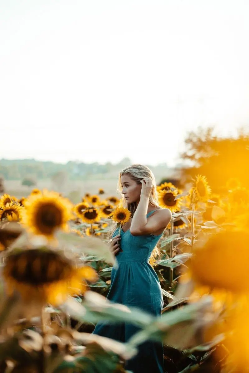 Download Attractive Sunflower Wallpaper and Images