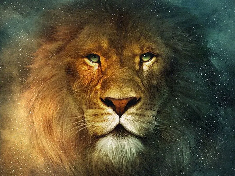 Download HD Lion Image