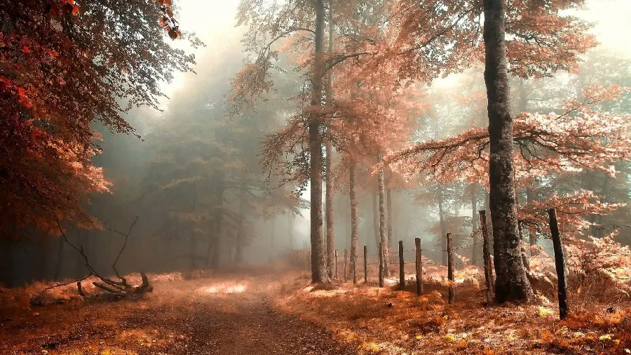 Autumn Nature Photos from 2021
