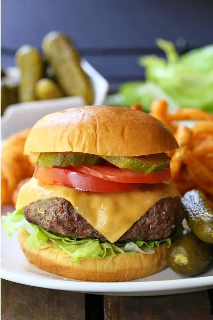 Burger and Sandwich High-Quality Photo for Food Lovers
