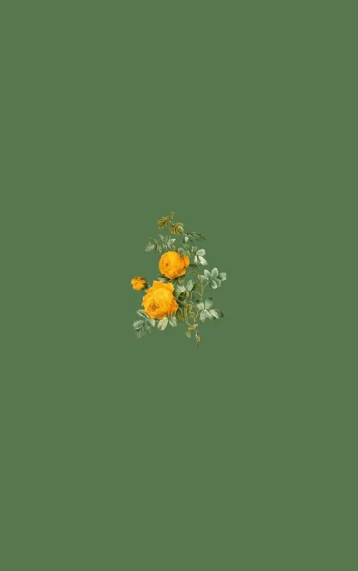 Background of Yellow Flower in Olive Green