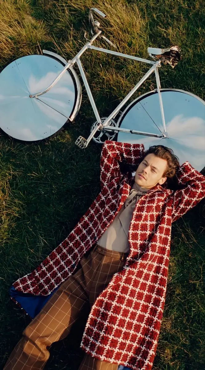 Download Harry Styles Smart Picture with High Quality