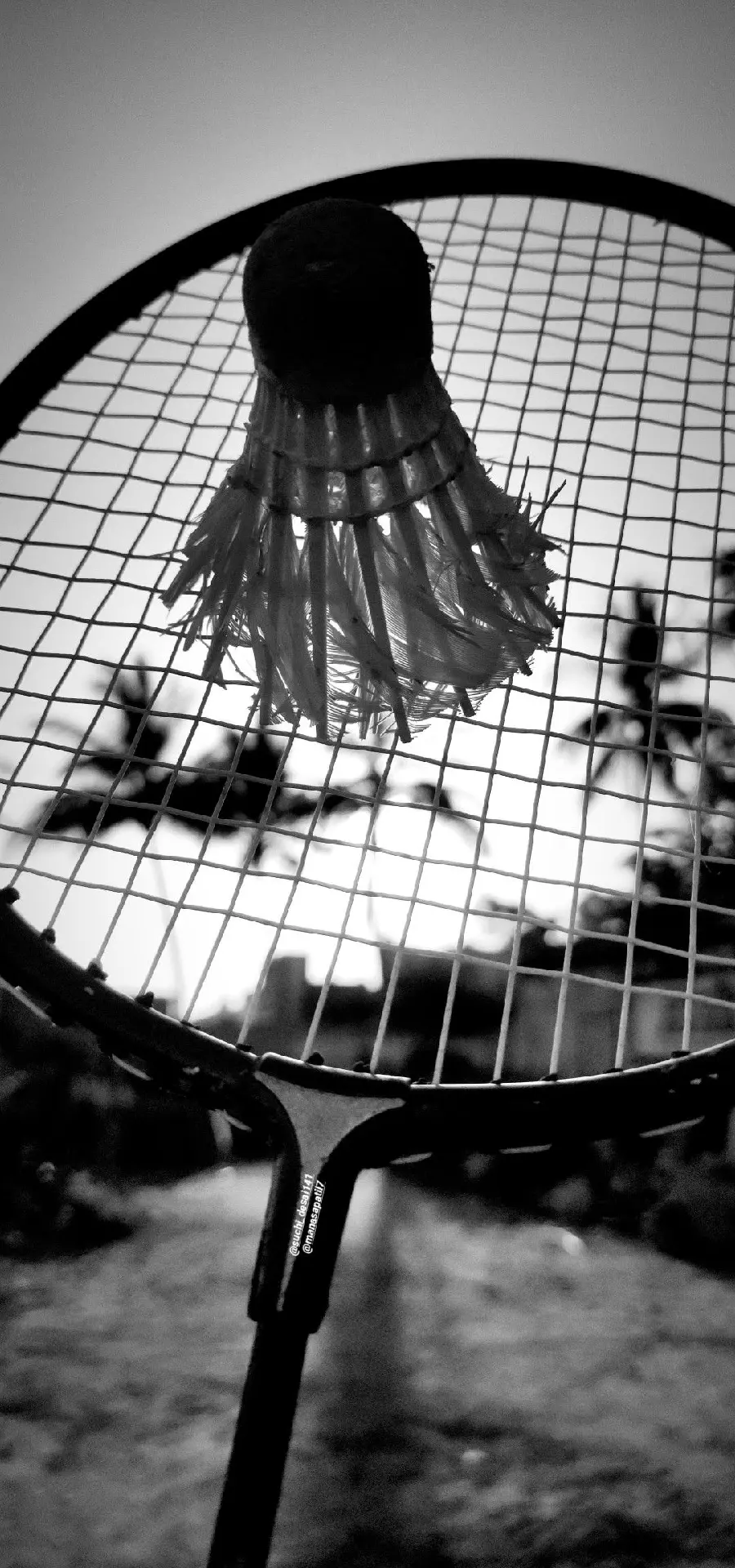 Black and White Badminton Wallpaper