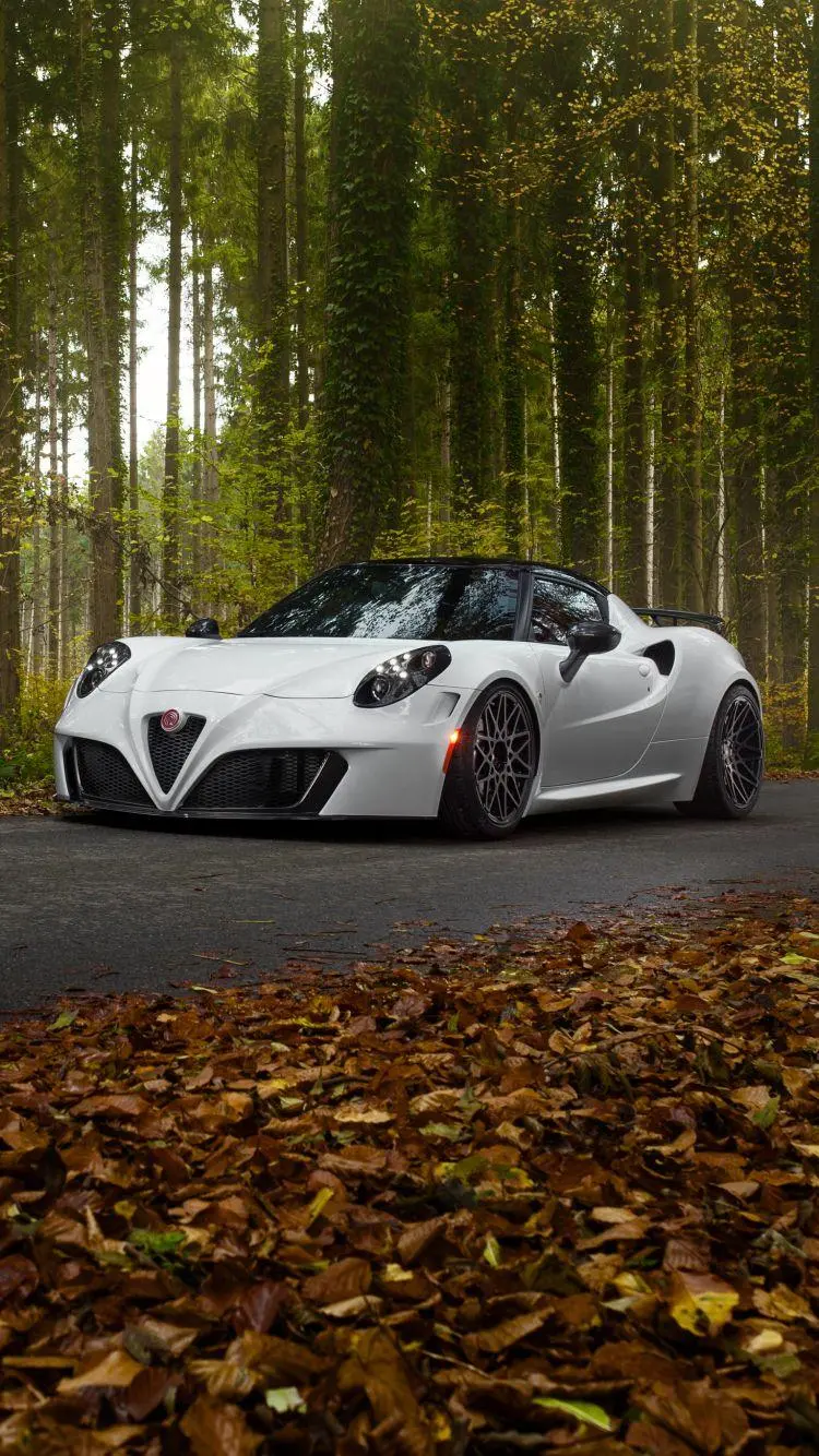 Powerful Alfa Romeo 4C Car Wallpaper
