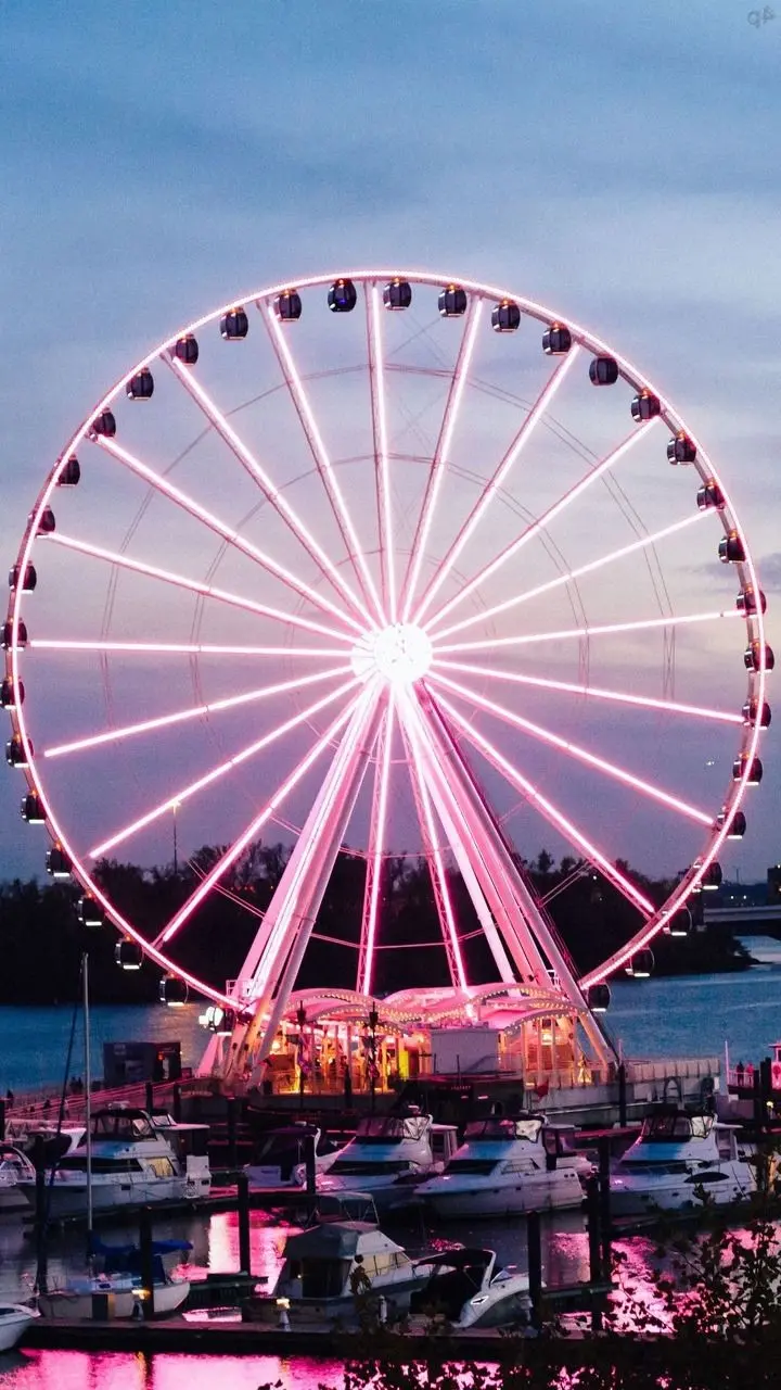 Download HD Pink Ferris Wheel Image