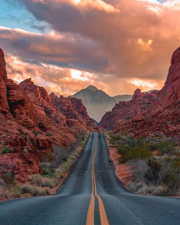 Download HD Desert Road Wallpaper