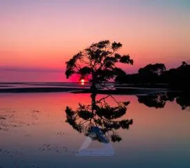 Sunset Over the Sea
