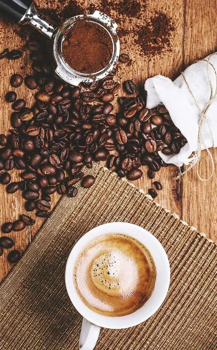Coffee Fruit in Bag - Download Profile Picture