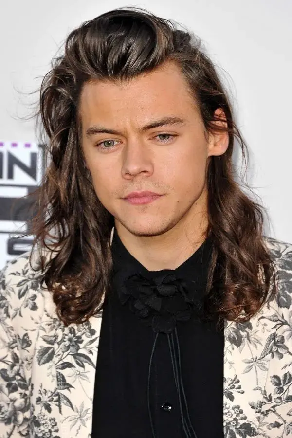 Download Harry Styles Picture with a Kind Heart