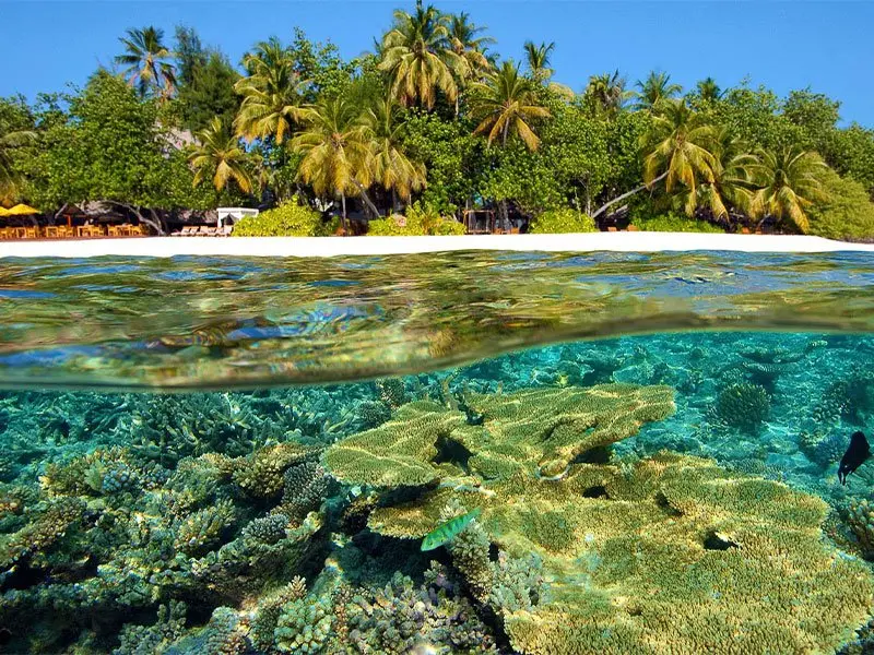 Photos of Maldives Islands in Male City - Tropical Beauty