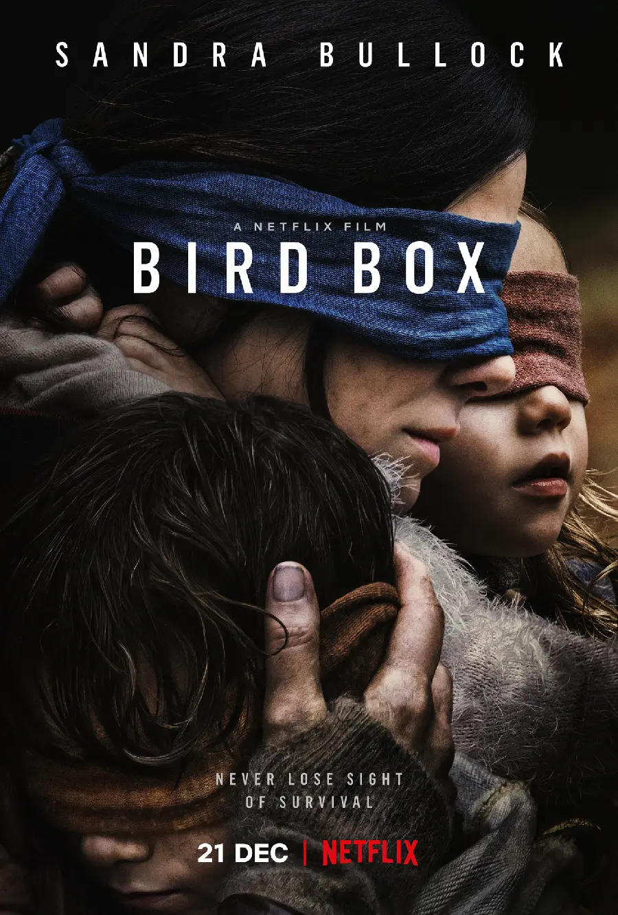 Photos of the Thriller Movie Bird Box