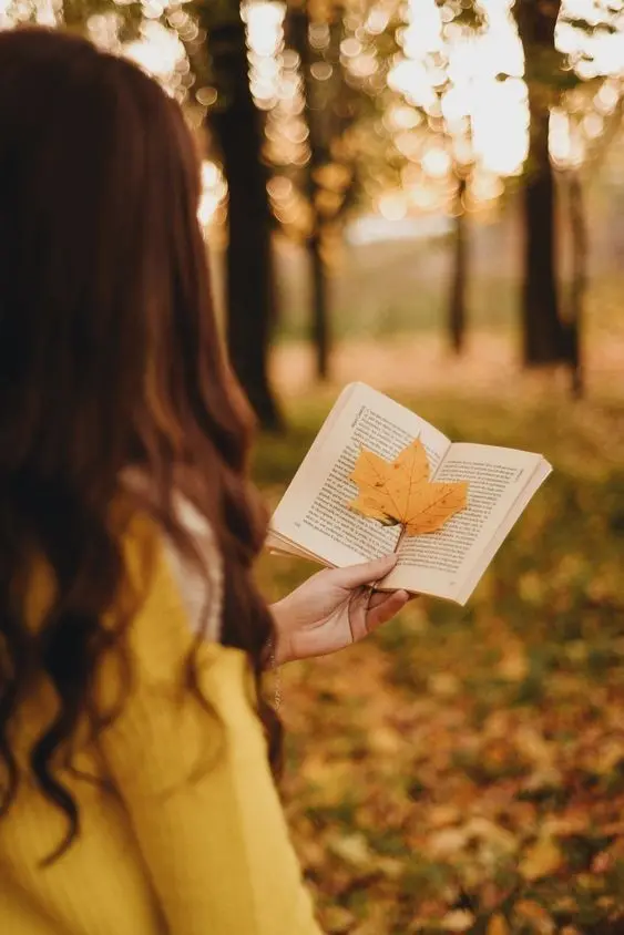 Download Girly Autumn Reading Book Background