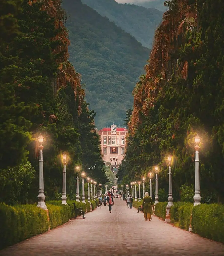 Download Moallem Boulevard Night Photo in Ramsar