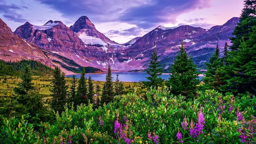 Download Spring Nature Image