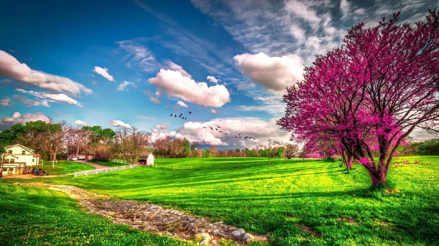 Beautiful Spring Farm Wallpapers