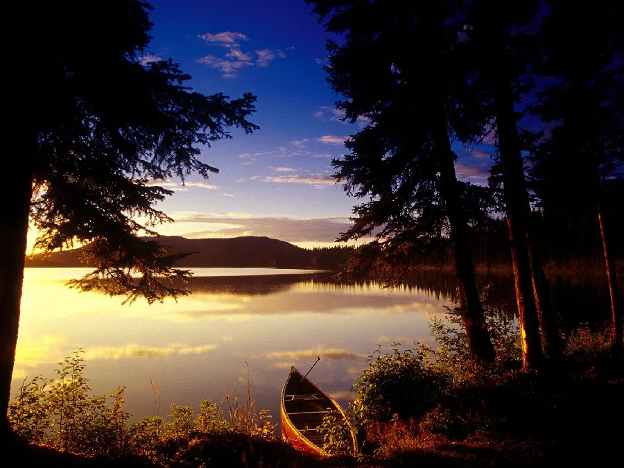 Download Background and Wallpaper for Windows and Phone