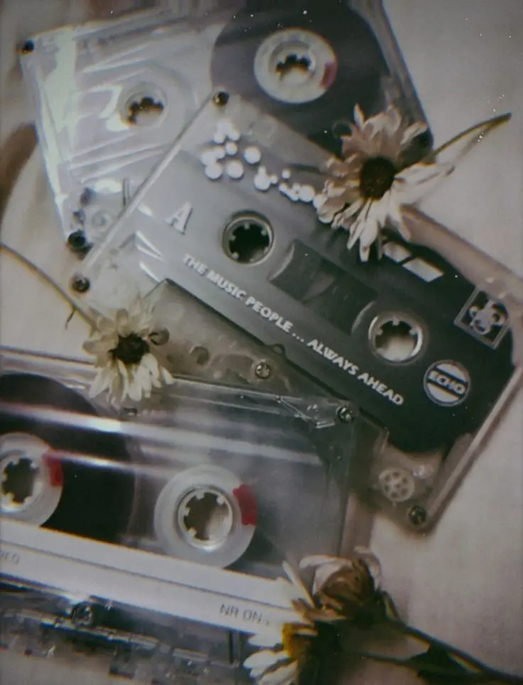 Download Background Image of Cassette Tape and Withered Flowers