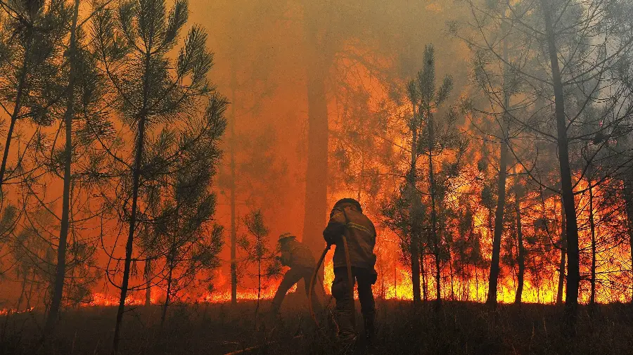 Download Images of Firefighters in Action