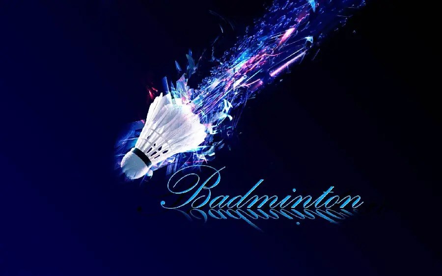 Badminton Shuttlecock and Racket Photo