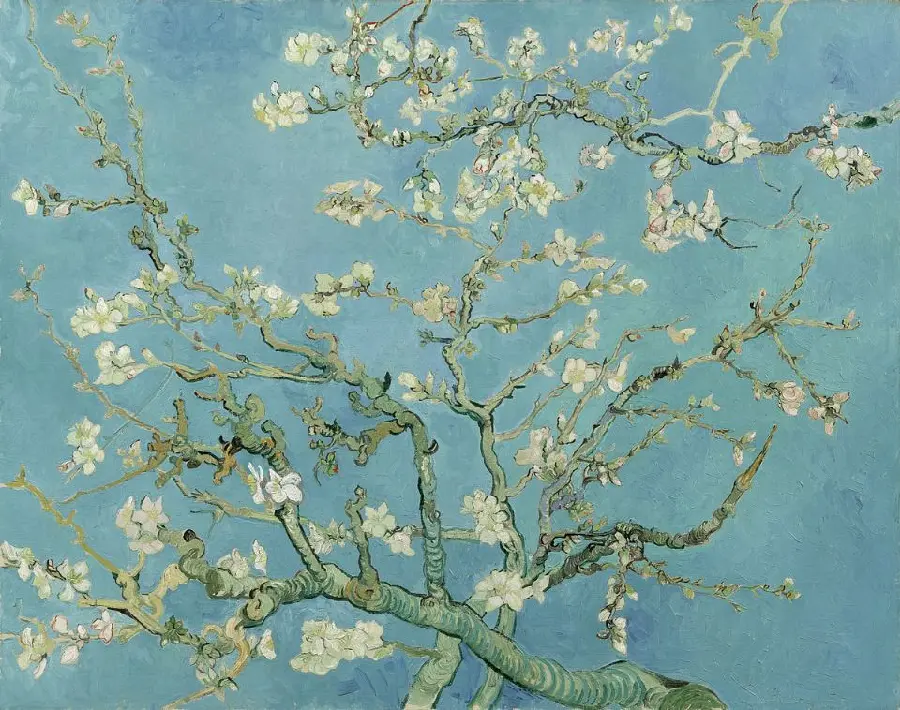 Almond Blossoms Painting by Vincent Van Gogh