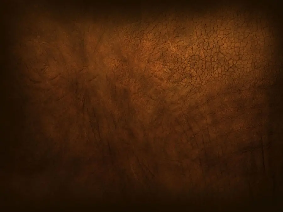 Introduction to Brown Color Image and Its Psychological Effects