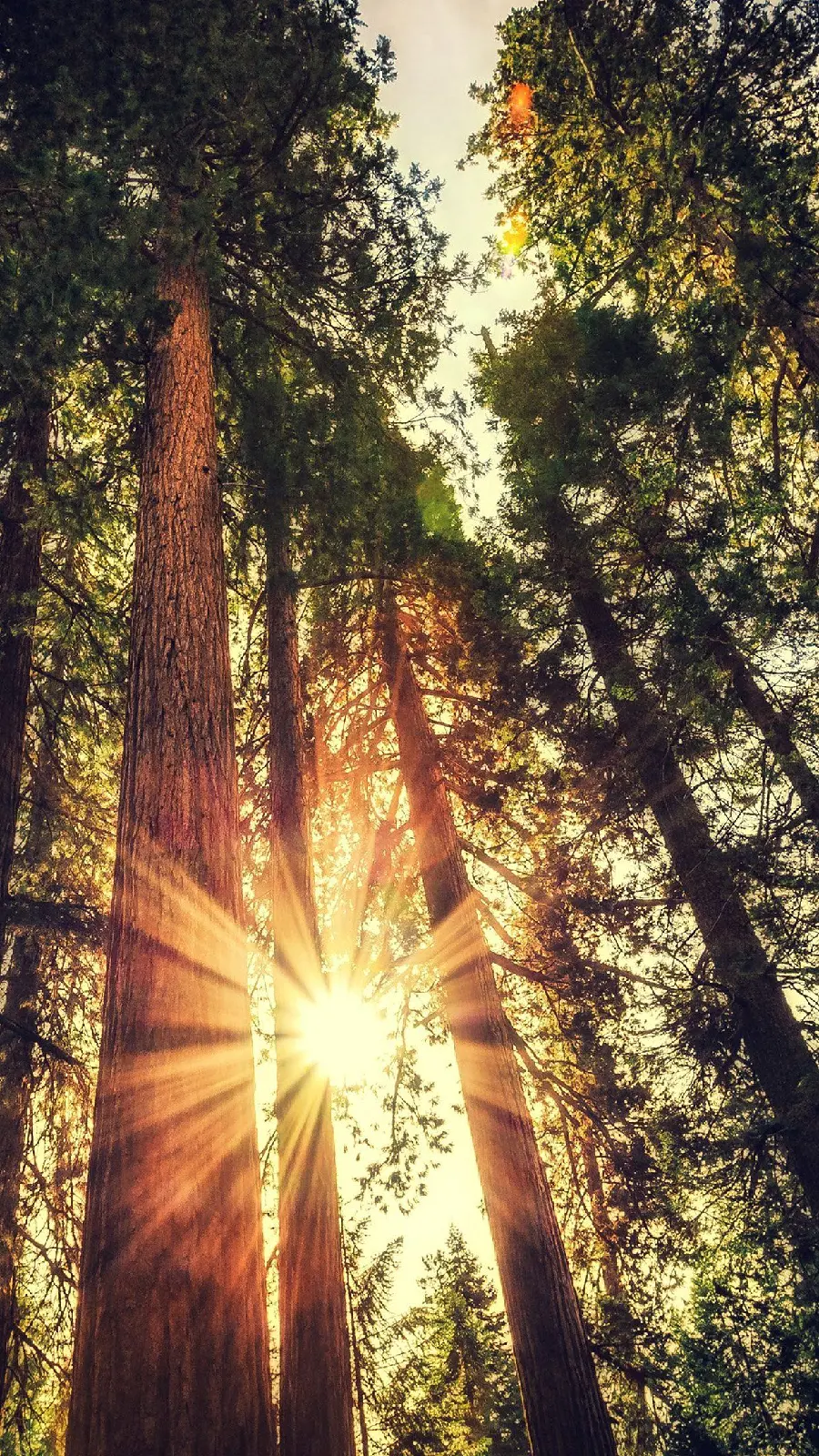 HD Nature Image for Android