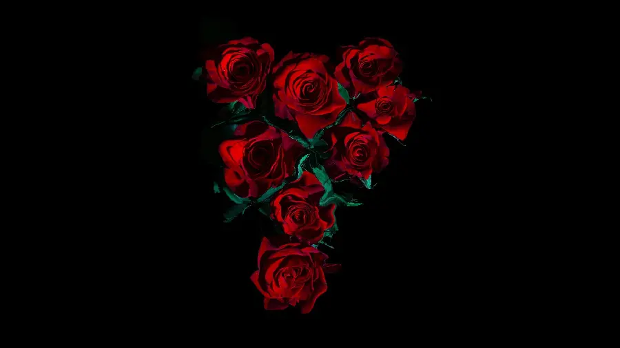 Red Rose Wallpaper for Desktop Background