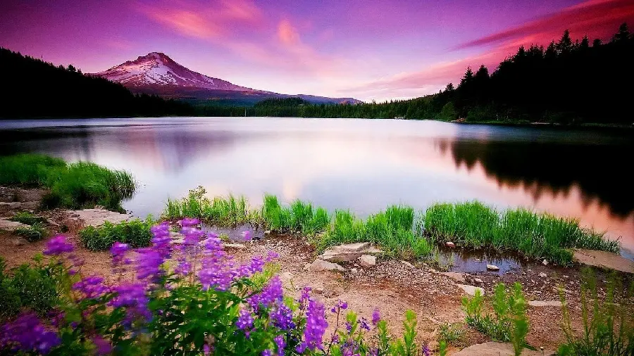Download 100+ HD and 4K Nature Background Images