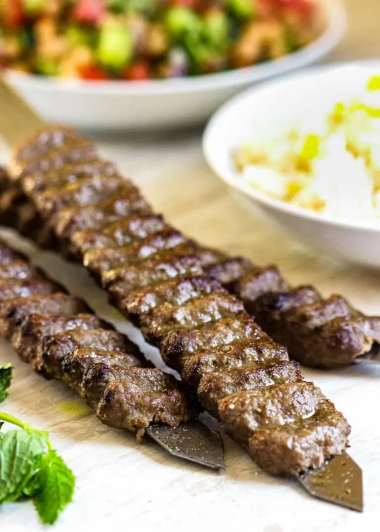 High Quality Koobideh Kebab Photo