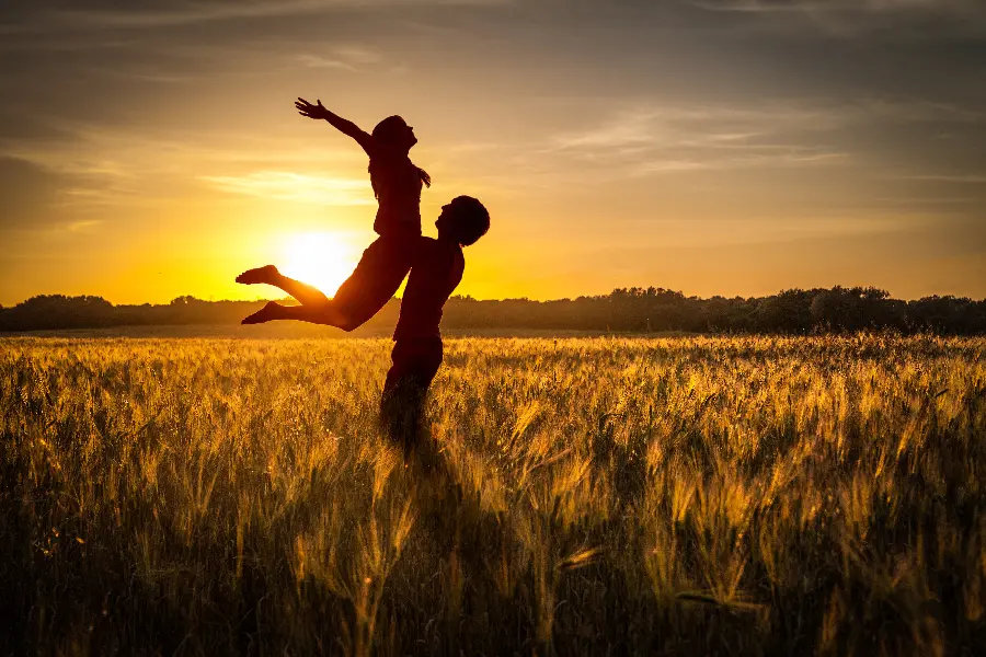 Silhouette Romantic Image