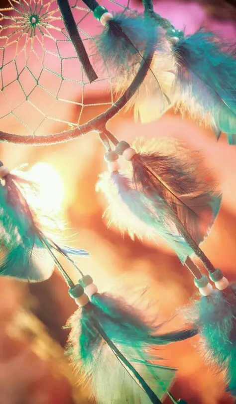 Download Dreamcatcher Image with Blue and Pink Feathers
