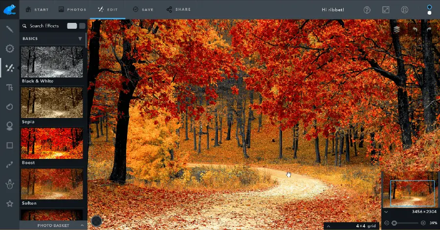 Ribbet Photo Editing App for Quick and Easy Edits