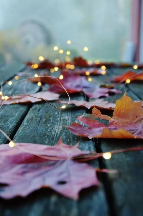 Download Fall Leaf with LED Lights Wallpaper