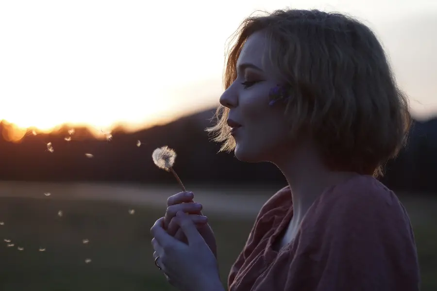 Dandelion Photography Idea