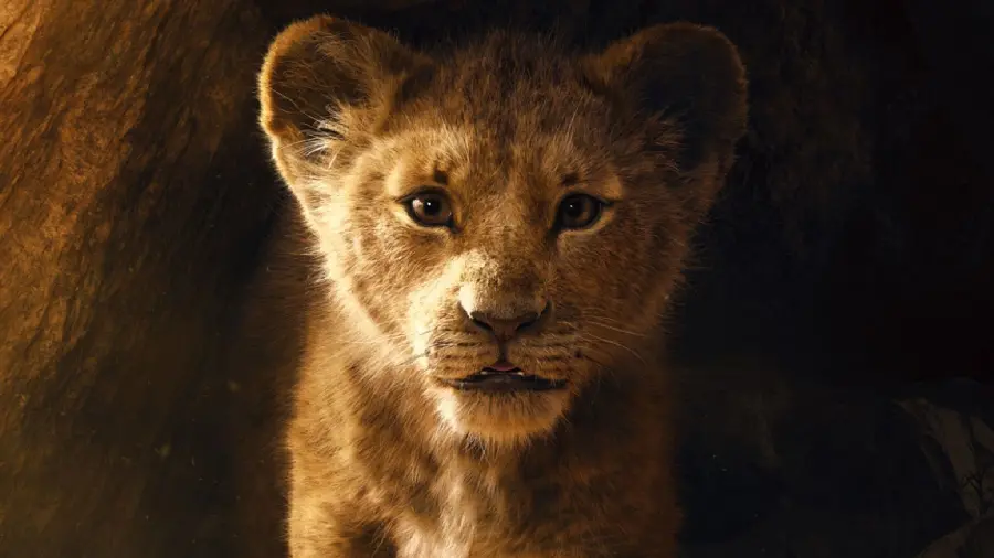 Images and Posters of The Lion King Animation