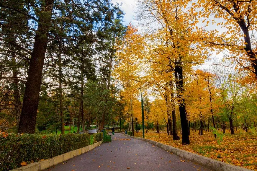 Download Mellat Park Photos in Tehran