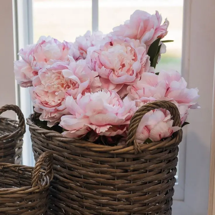 Download Background Image of Pink Flowers in Fruit Basket