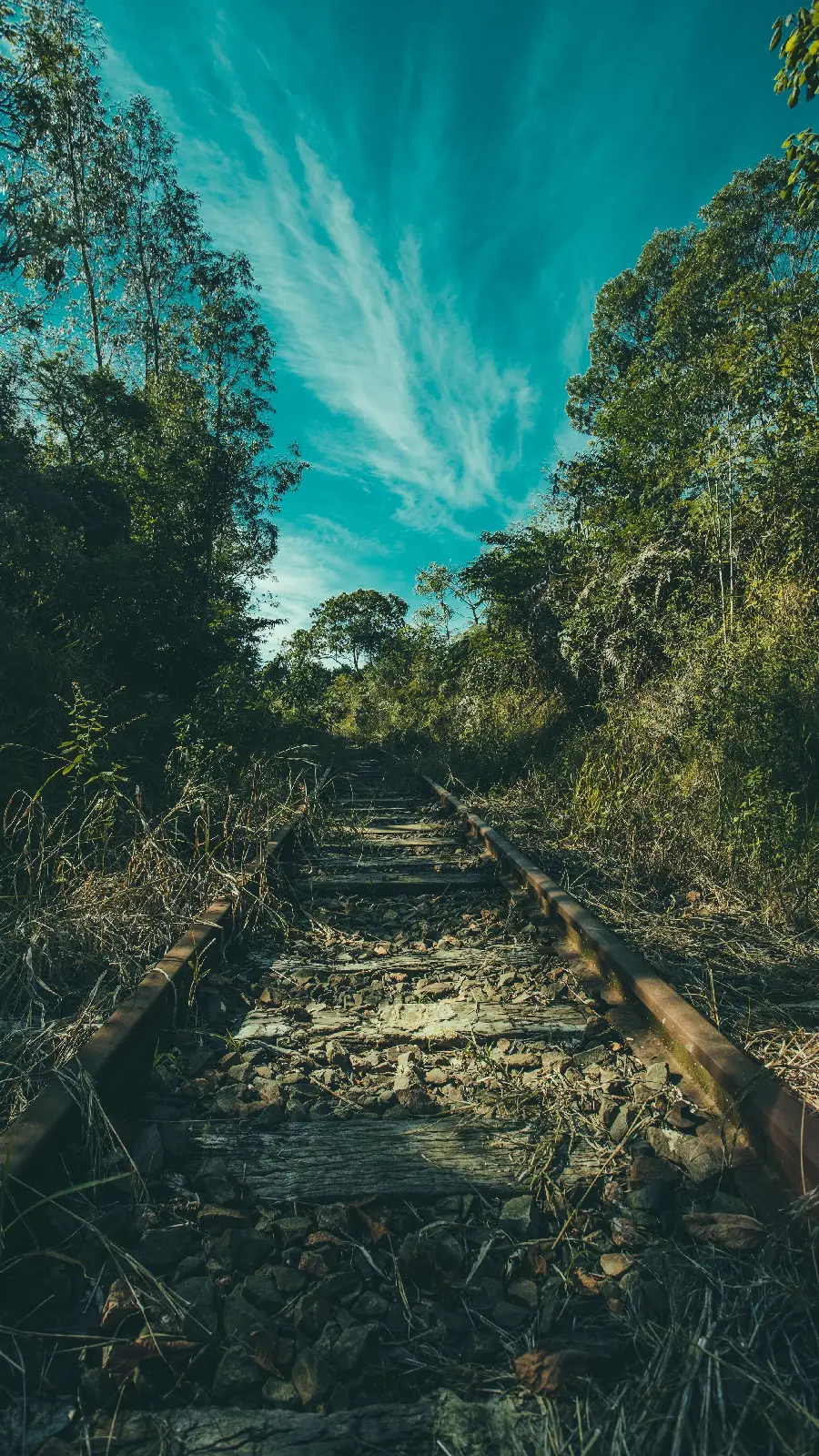 Best HD Nature Background Image