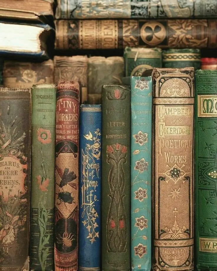 Image of Colorful Books with Various Covers