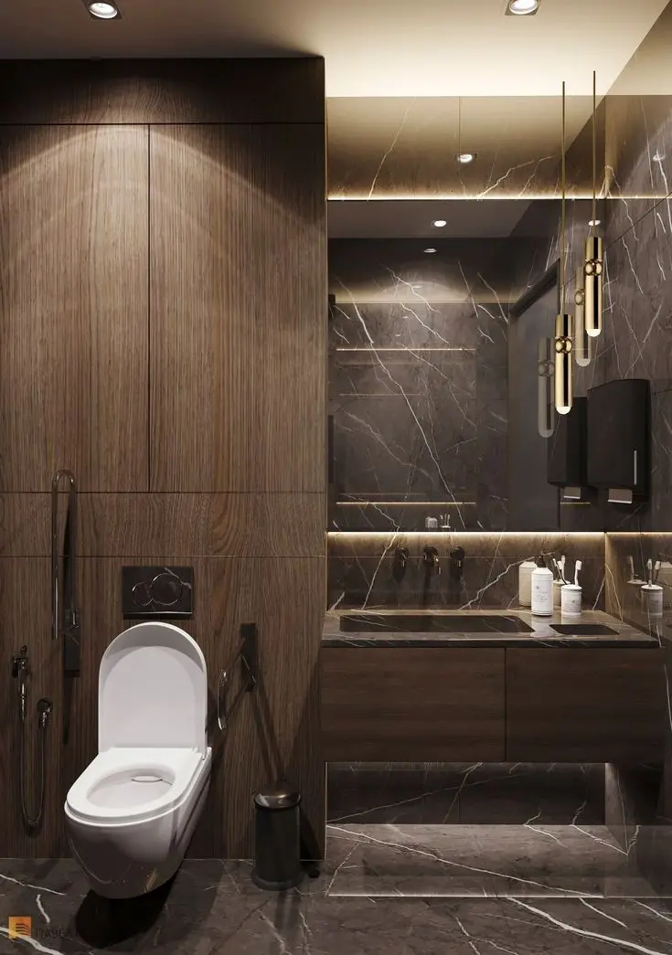 Download HD and 8K Western Toilet Background Images